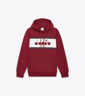 Hoodie Logo Color Block Hoodie