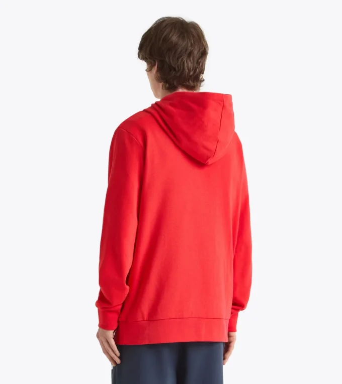 Hoodie Logo Color Block Hoodie