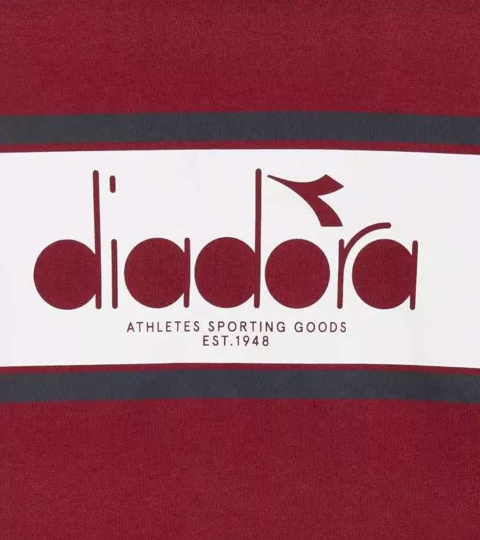 Hoodie Logo Color Block Hoodie